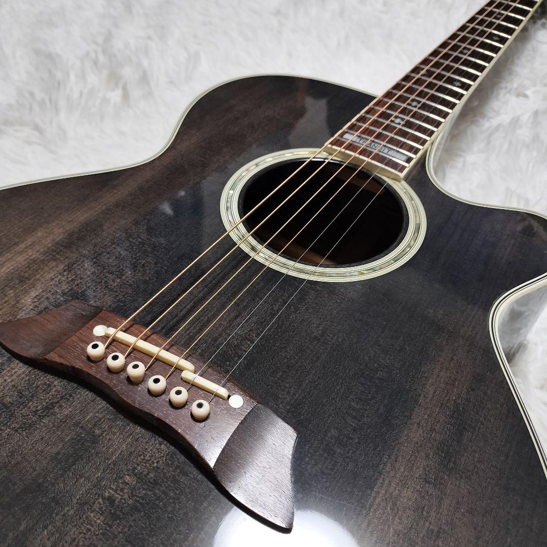 ギター TAKAMINE TRE110 SBL SEE THROUGH BLACK