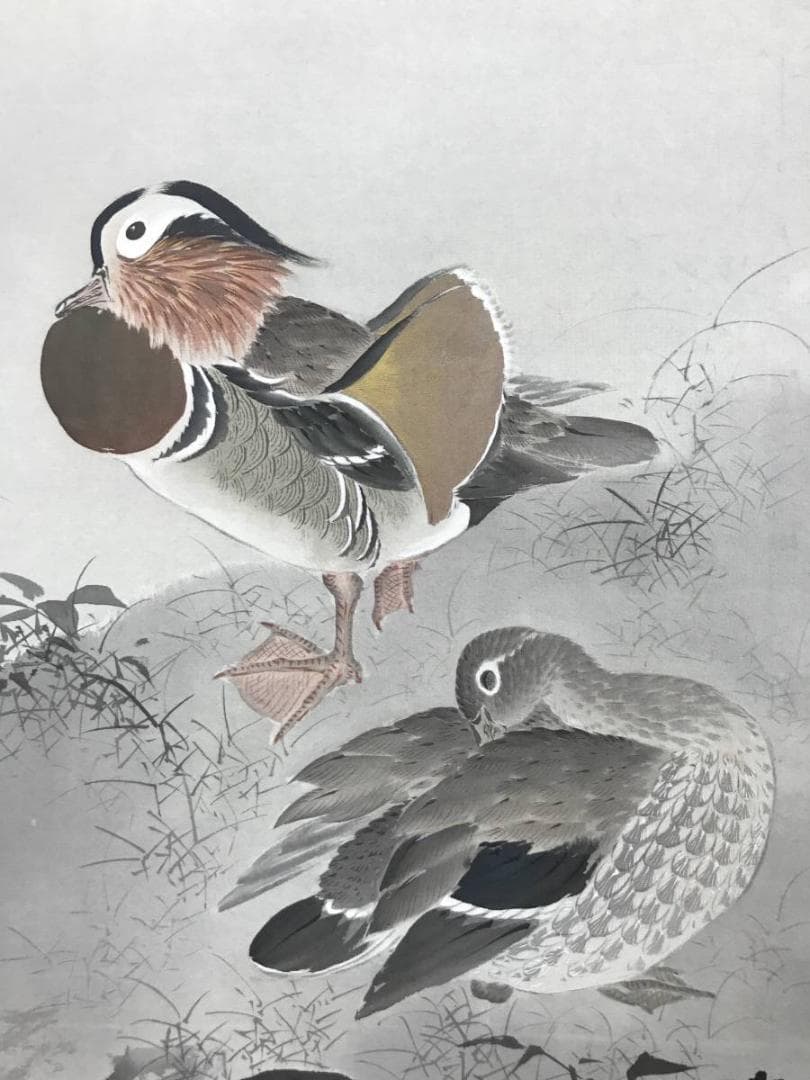 【真作】桂田湖城/月岩鴛鴦図/オシドリ図/花鳥図/掛軸/名家伝来/AC-612