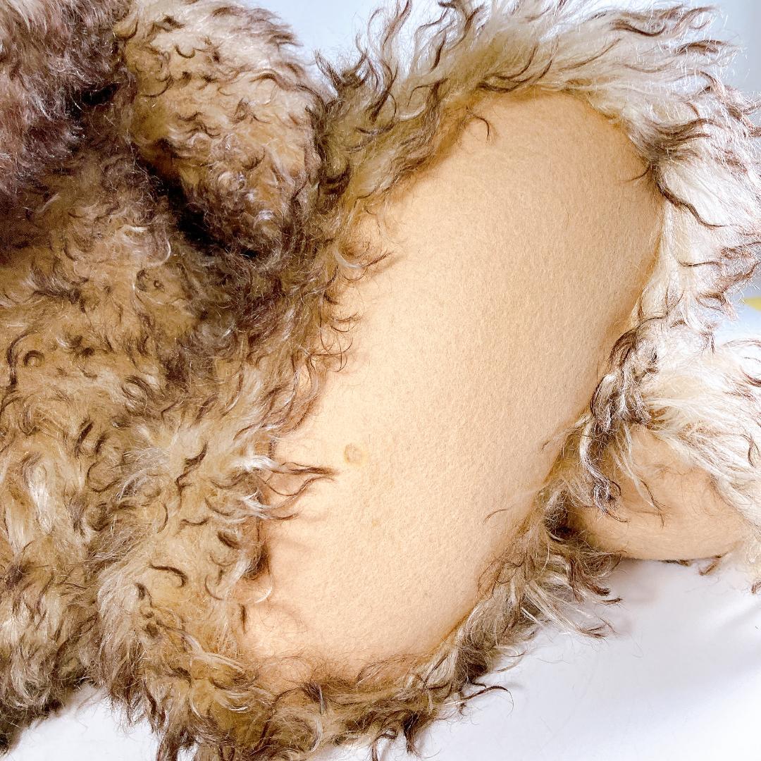 バーバラ アン ベアーズ テディベア フラマックス 7/10　|2168|☆