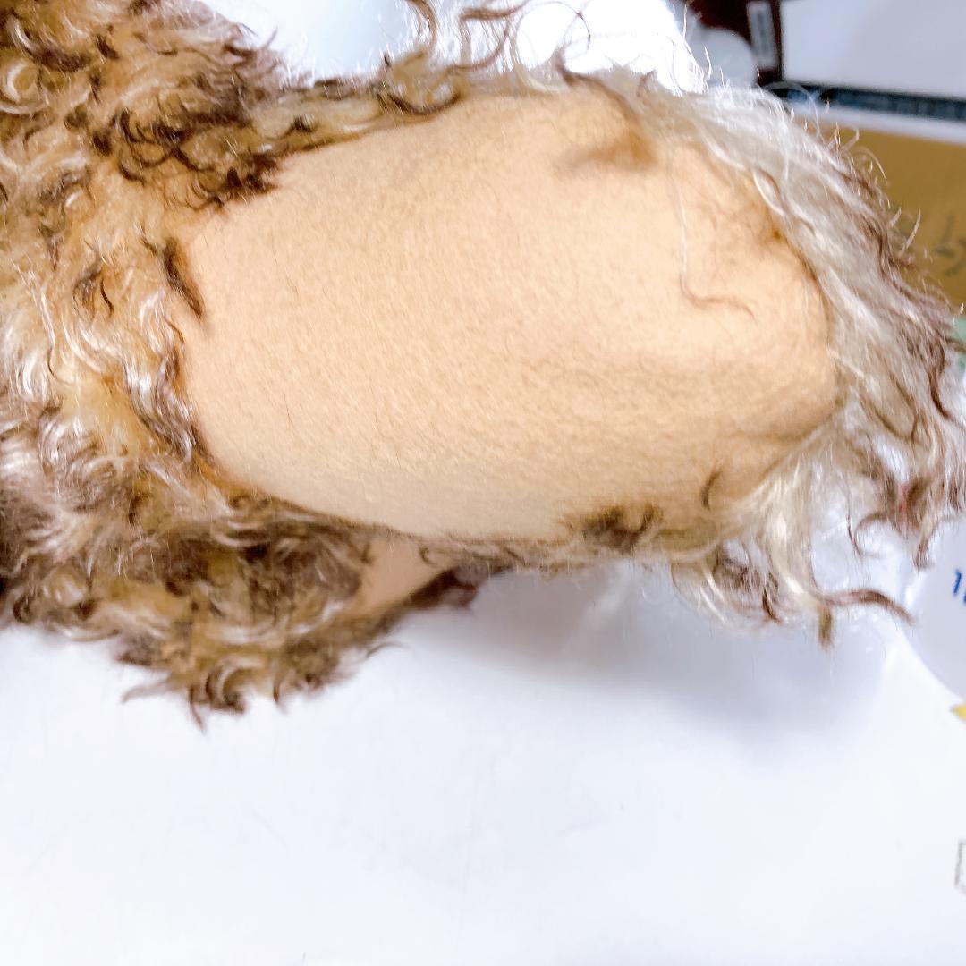 バーバラ アン ベアーズ テディベア フラマックス 7/10　|2168|☆