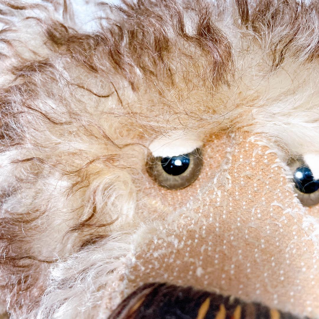 バーバラ アン ベアーズ テディベア フラマックス 7/10　|2168|☆