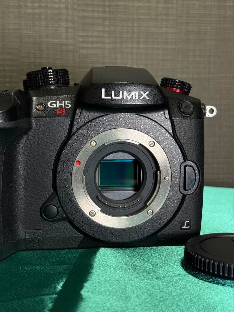 Panasonic LUMIX GH5S 本体　ミラーレス一眼 ☆美品・完動品