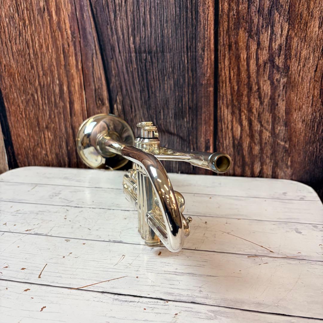 Kaerntner ケルントナー トランペット ハードケース おまけ付