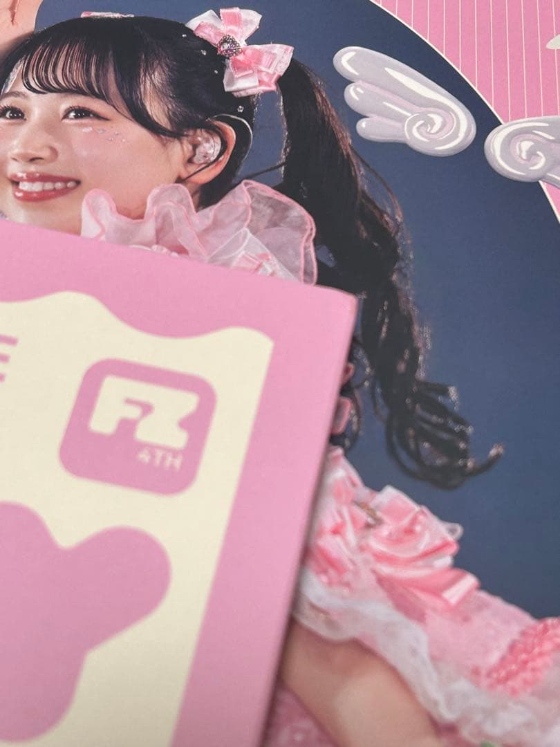 FRUITS ZIPPER SPECIAL LIVE写真集 松本かれん