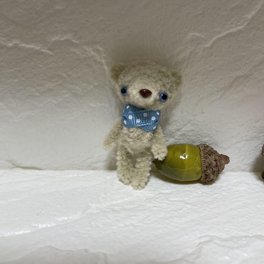 ご予約済★のんびりテディ