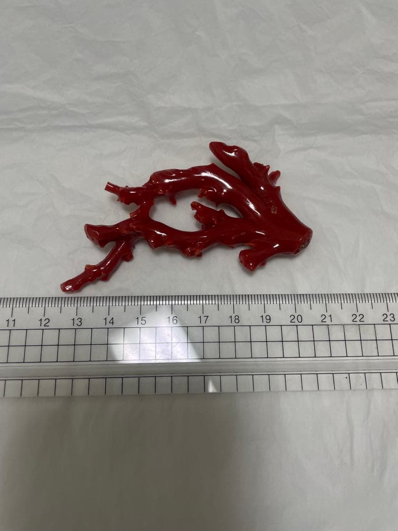 赤珊瑚枝ペンダントトップ,原木の置物