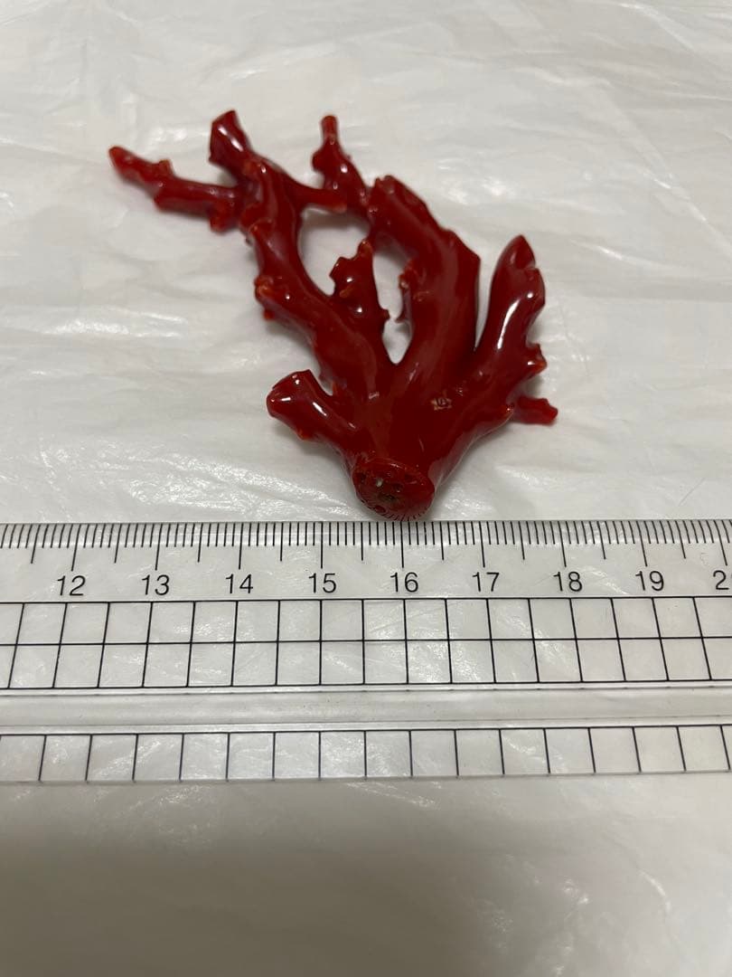 赤珊瑚枝ペンダントトップ,原木の置物