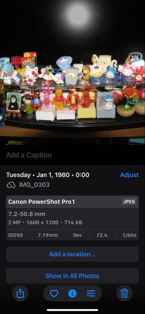 Canon PowerShot Pro1 デジタルカメラ　作例あり