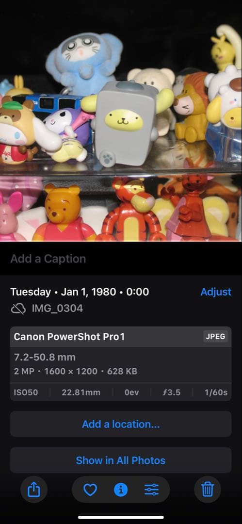 Canon PowerShot Pro1 デジタルカメラ　作例あり