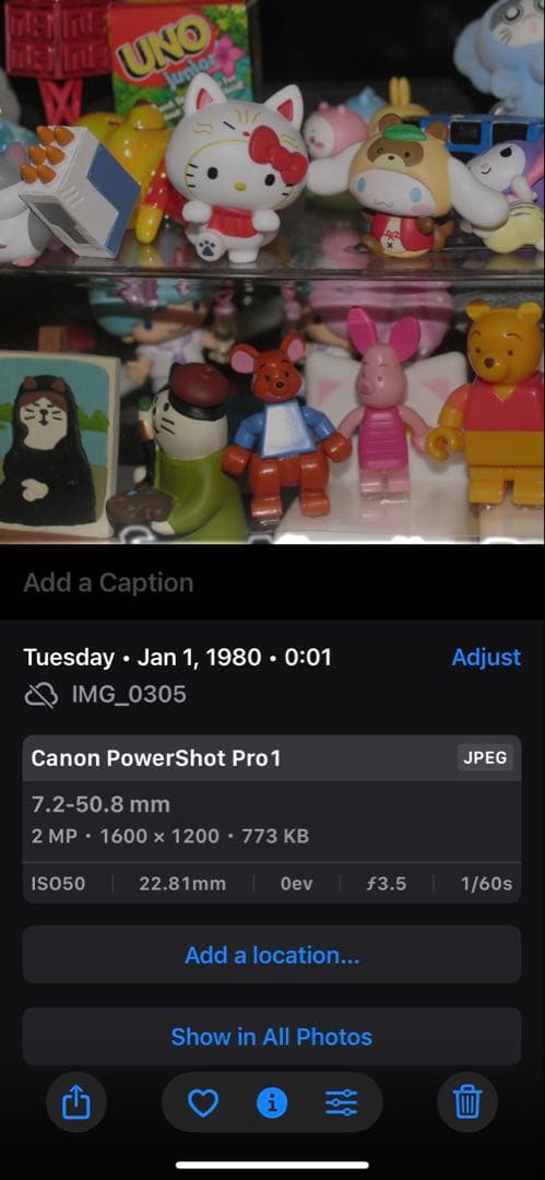 Canon PowerShot Pro1 デジタルカメラ　作例あり