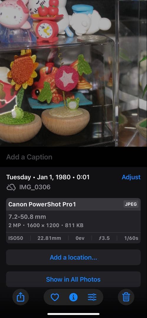 Canon PowerShot Pro1 デジタルカメラ　作例あり