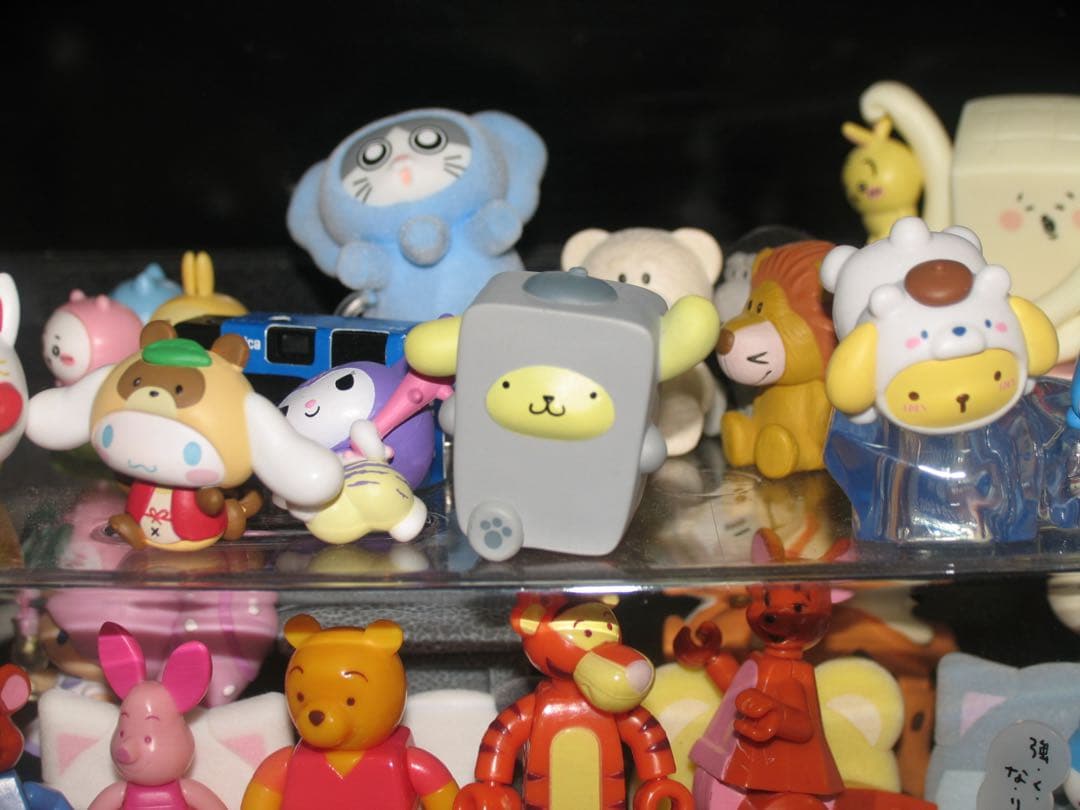 Canon PowerShot Pro1 デジタルカメラ　作例あり