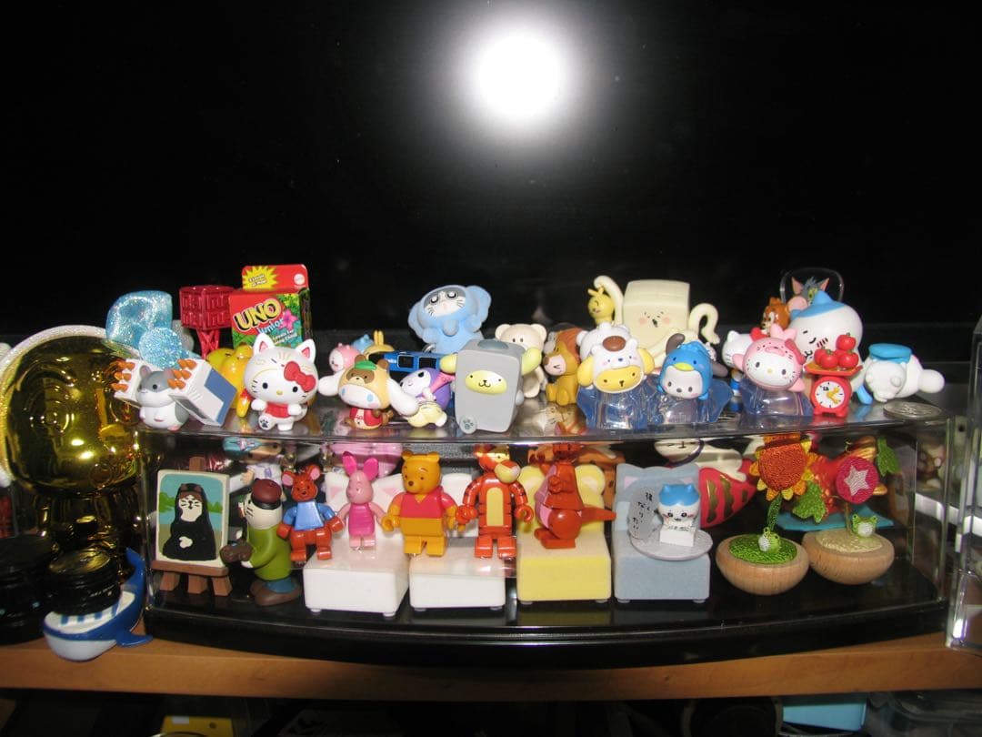 Canon PowerShot Pro1 デジタルカメラ　作例あり