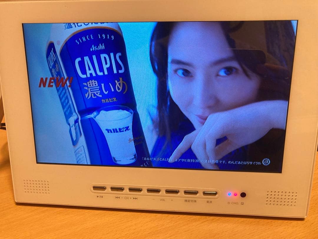 防水　テレビ　10インチフルセグチューナー搭載DVDプレーヤー ST-100WP