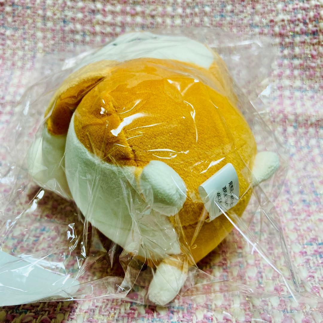 アニメイト くじメイト クソハムちゃん A賞 ひっつき！ぬいぐるみキーホルダー