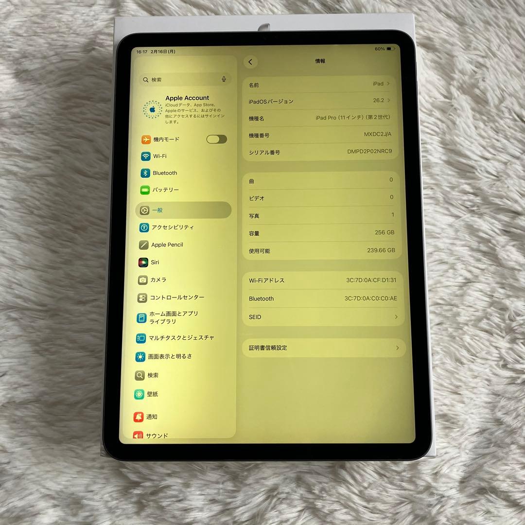 【3/3販売終了】iPad Pro 11 第2世代 256GB 【すぐ発送】
