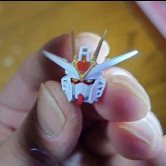 HGストライクフリーダム弐式＋プラウドディフェンダーセット