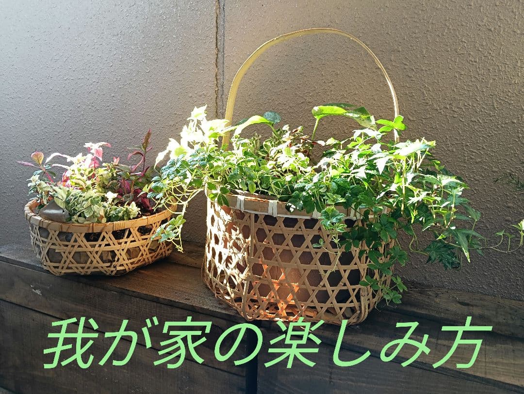 竹かご　八つ目編みかご