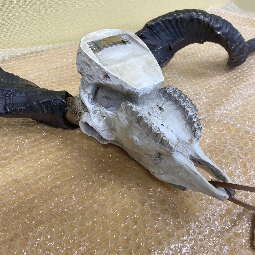 ★希少★売り切れ品★DULTON ダルトン 山羊の頭部オブジェ 頭蓋骨アメリカン