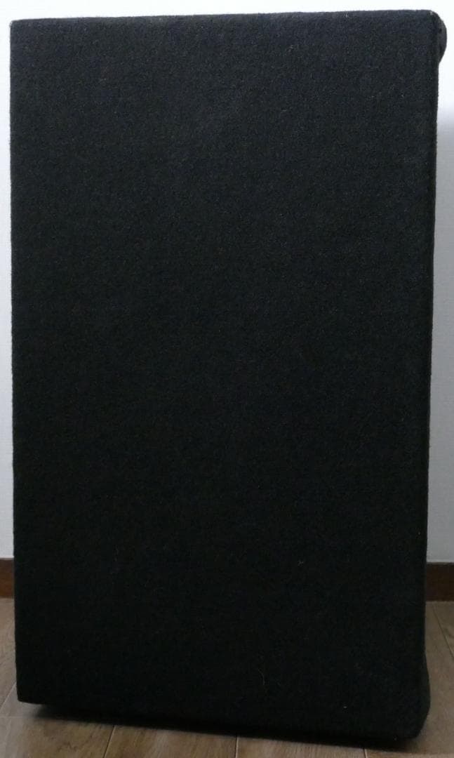 Electoro Voice Force i ペア