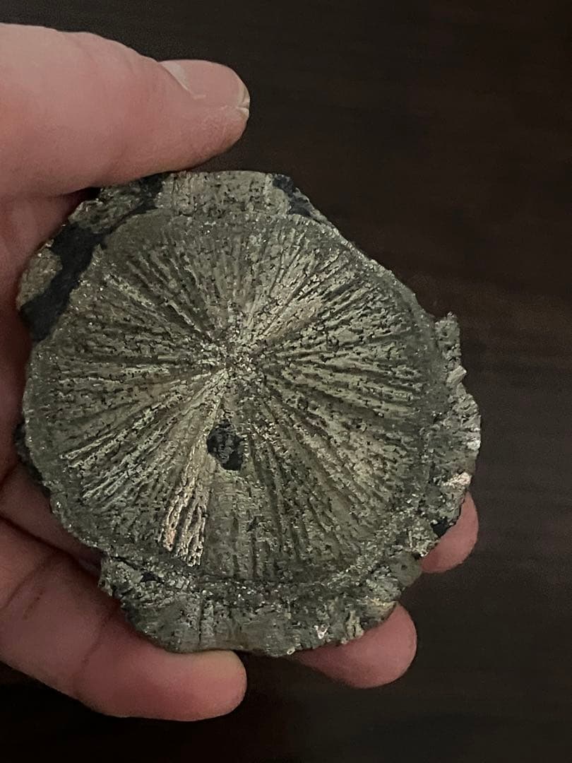 パイライトサン