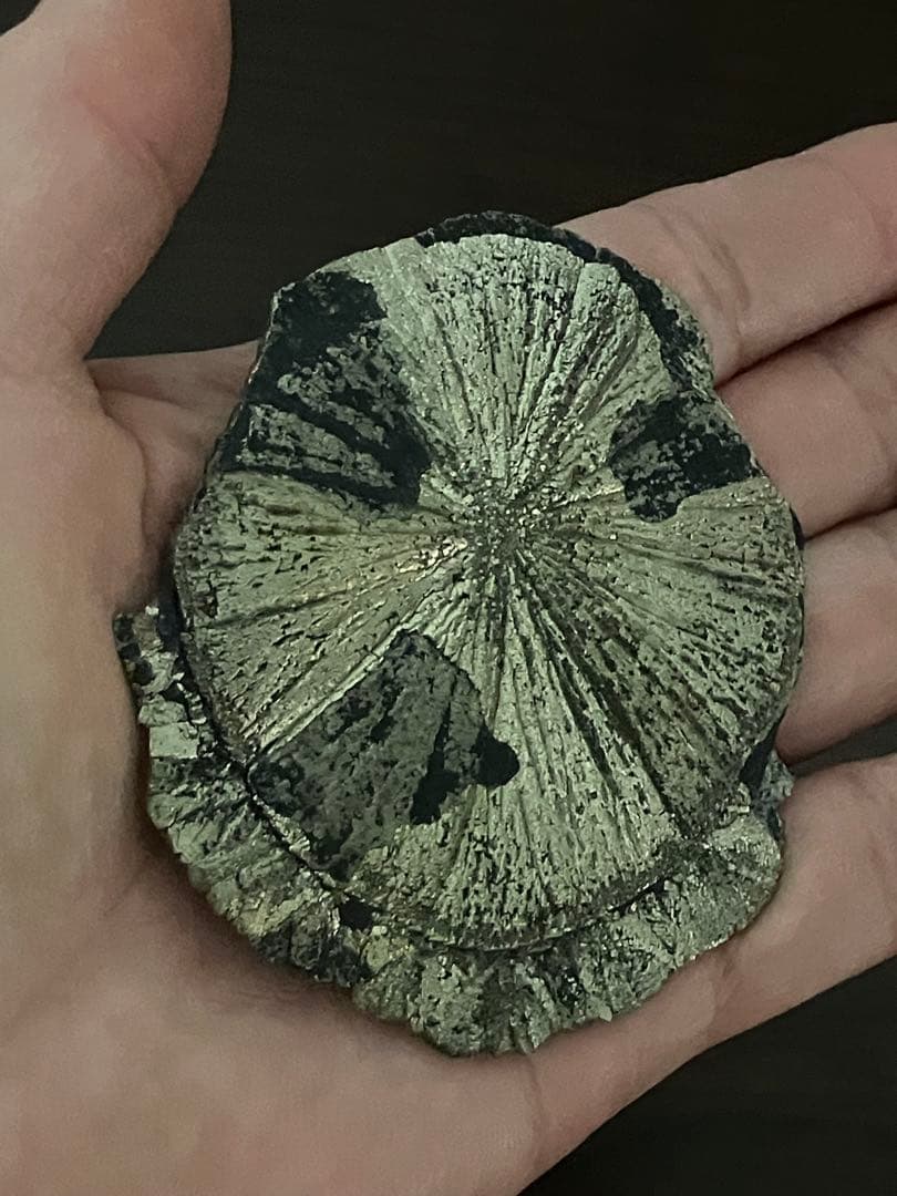 パイライトサン