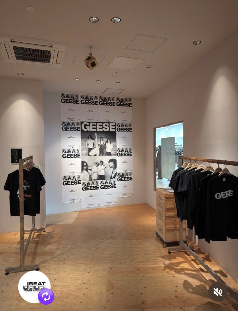ギースのＴシャツ 完売・店頭限定スペシャルセット（Geese ジャパンツアー時）