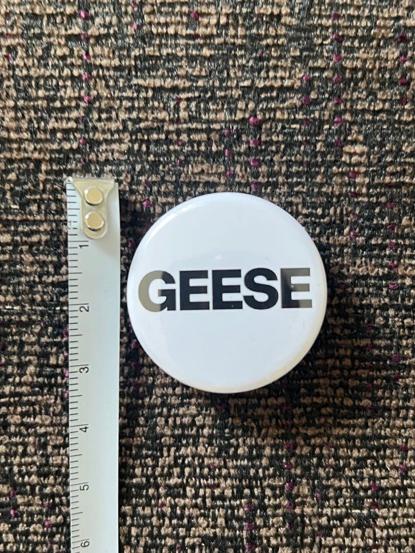 ギースのＴシャツ 完売・店頭限定スペシャルセット（Geese ジャパンツアー時）