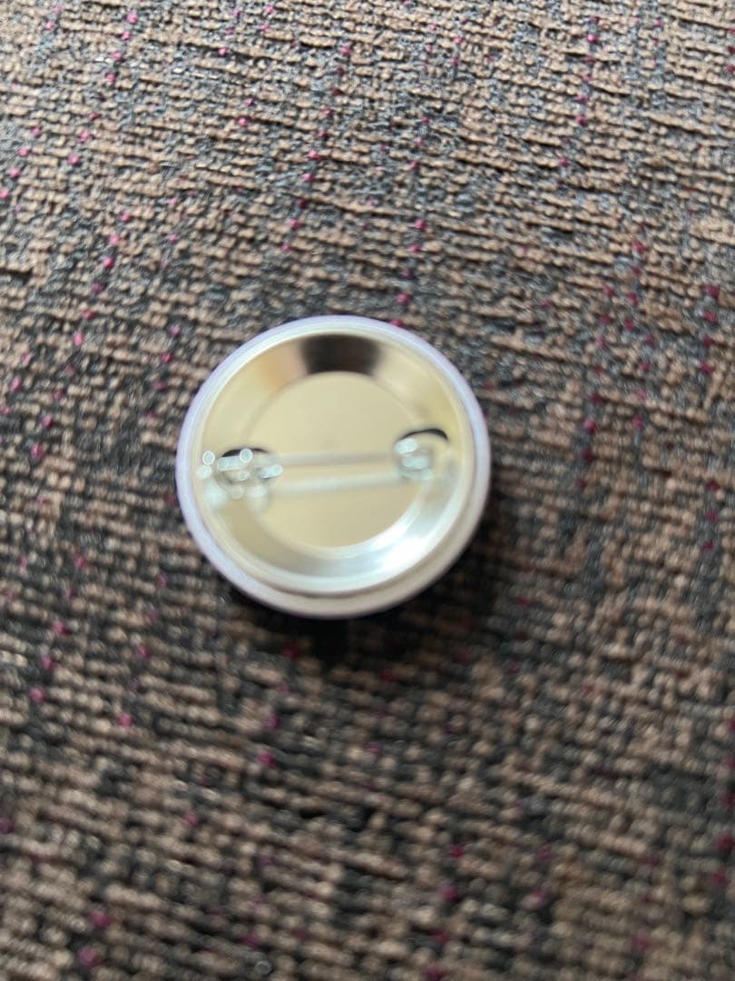 ギースのＴシャツ 完売・店頭限定スペシャルセット（Geese ジャパンツアー時）