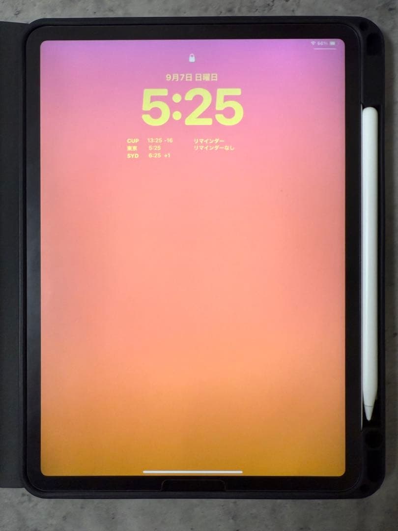 iPad Pro 11インチ 第4世代128GBとApple Pencil第2