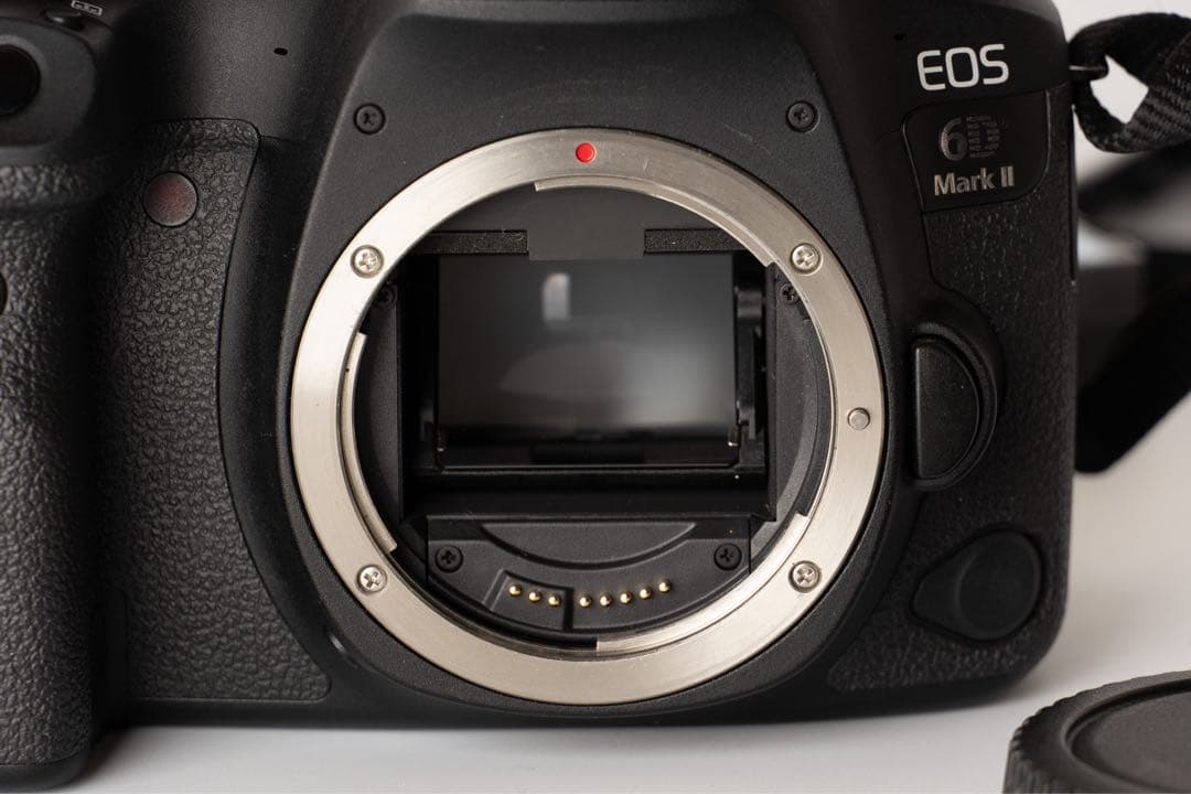 【訳あり】Canon EOS 6D Mark II ボディ・バッテリーレンズ