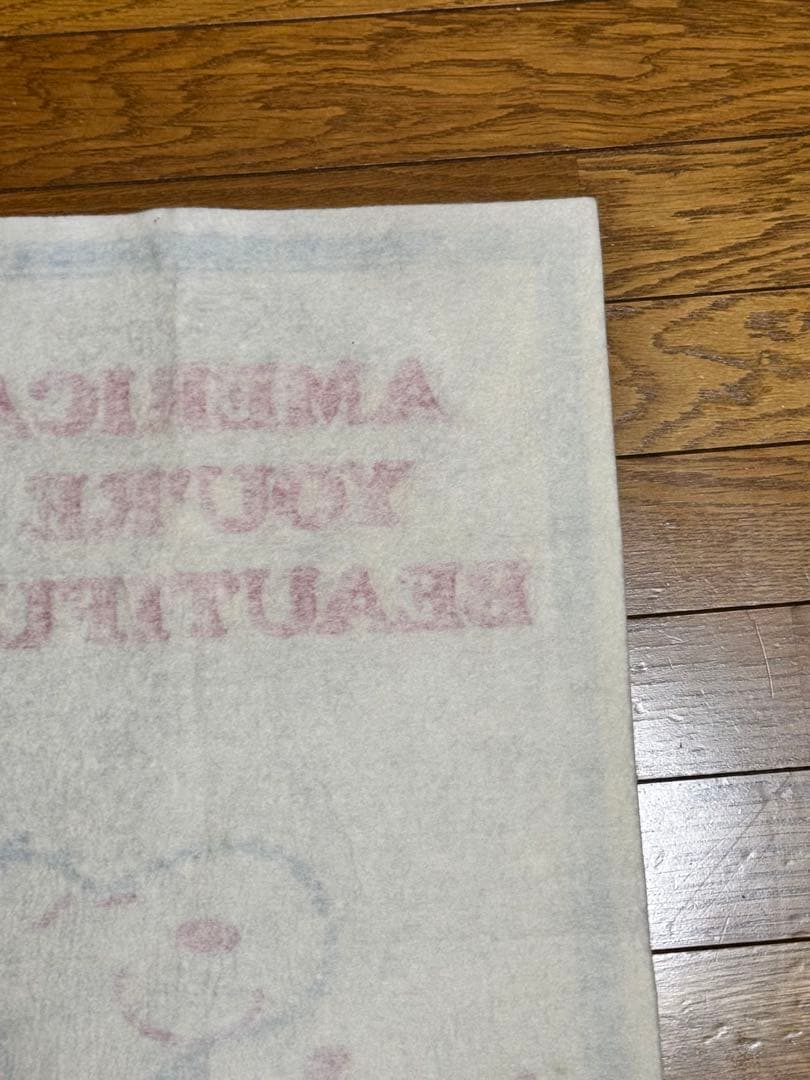 スヌーピータペストリー AMERICA, YOU'RE BEAUTIFUL!