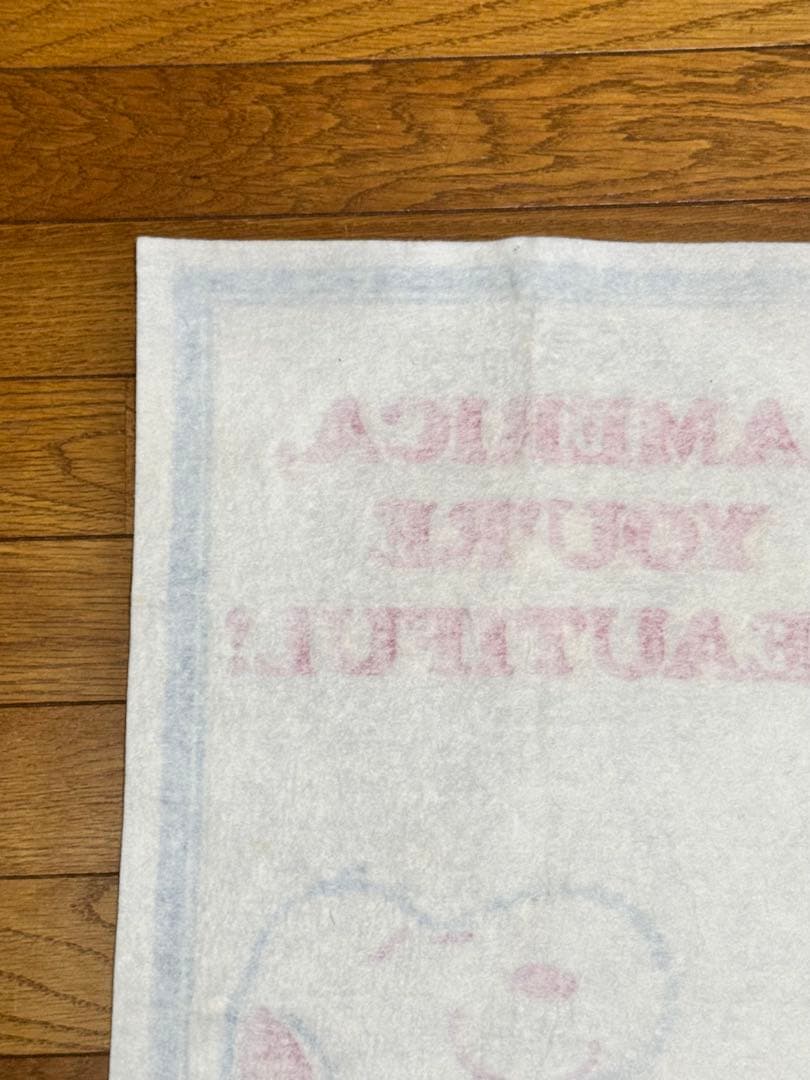 スヌーピータペストリー AMERICA, YOU'RE BEAUTIFUL!