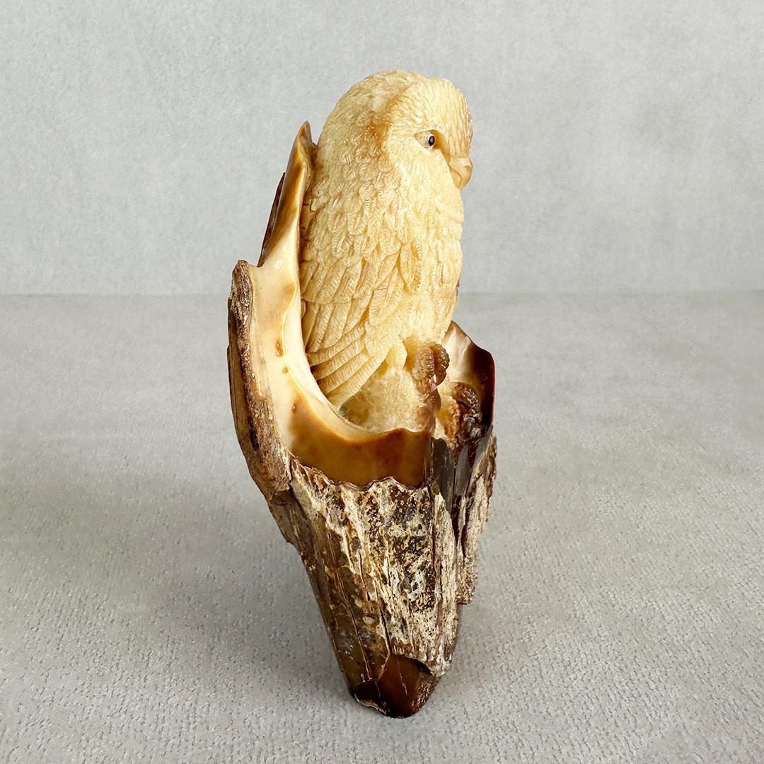置根付　フクロウ 梟　セイウチ牙製　彫刻 　ミ10