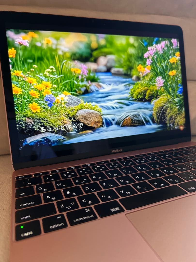 【訳あり】Apple MacBook12㌅(2017)A1534/i7/16GB