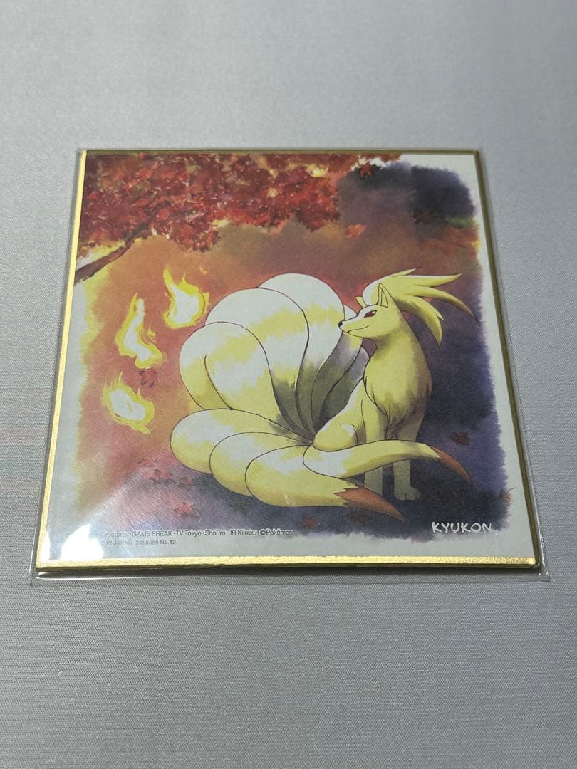 ポケモン 色紙 ART 21枚セット