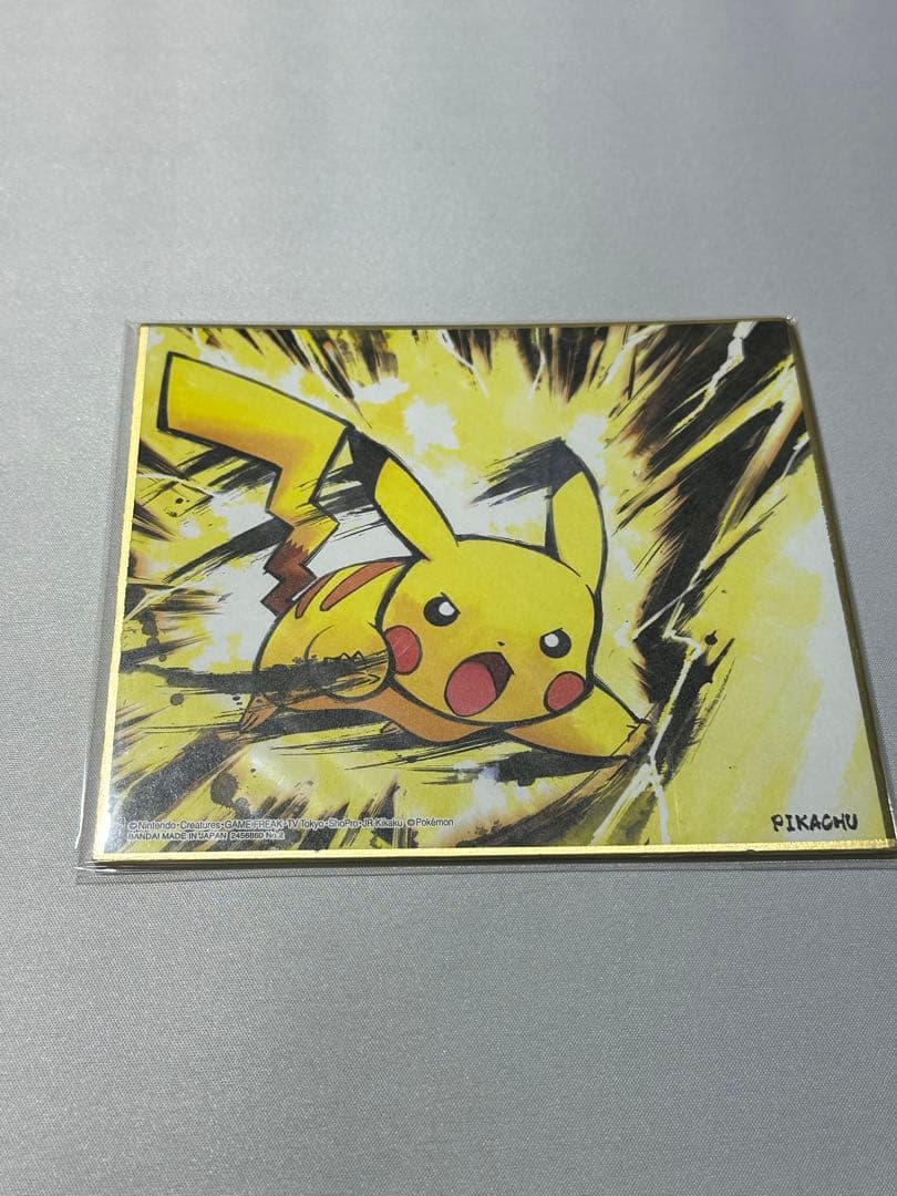 ポケモン 色紙 ART 21枚セット