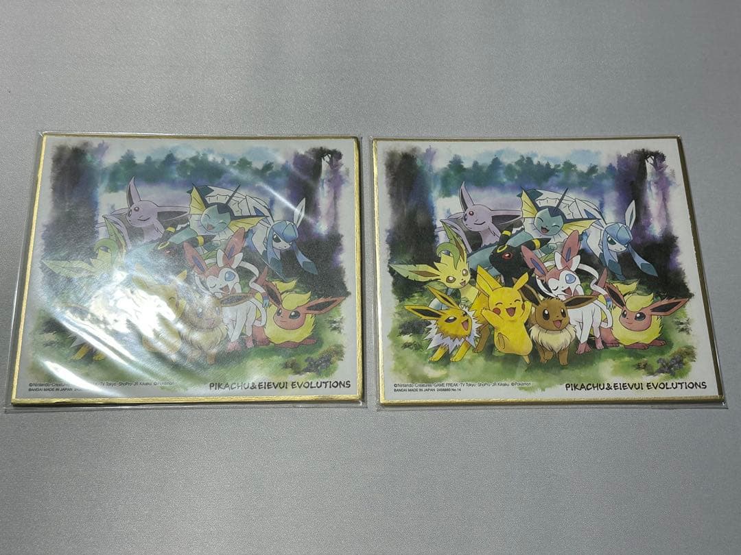 ポケモン 色紙 ART 21枚セット