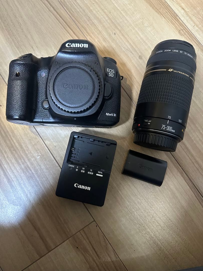 デジタル一眼レフカメラ/Canon EOS 5D MarkIII望遠レンズセット