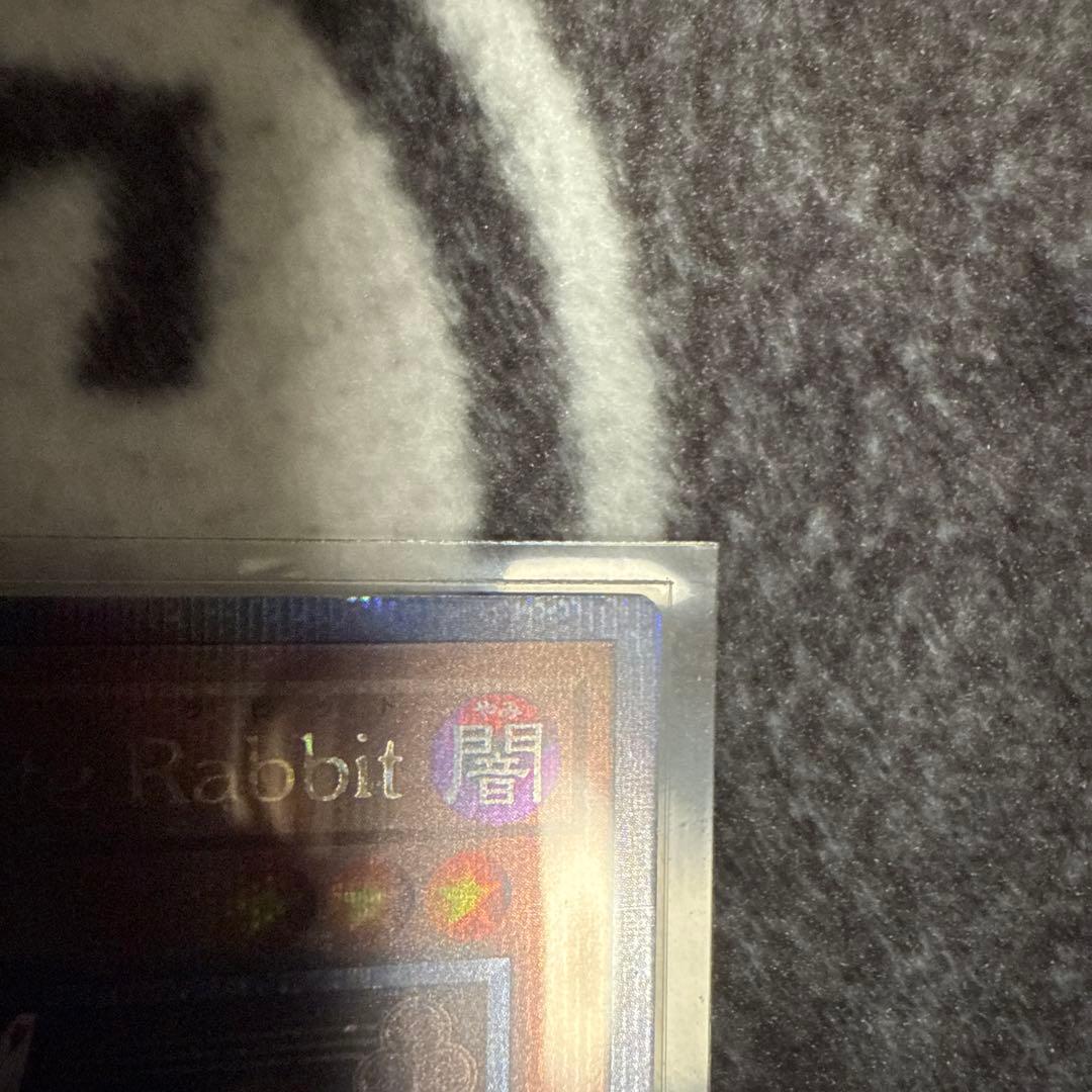 M∀LICE 〈P〉White Rabbit 25th 1枚