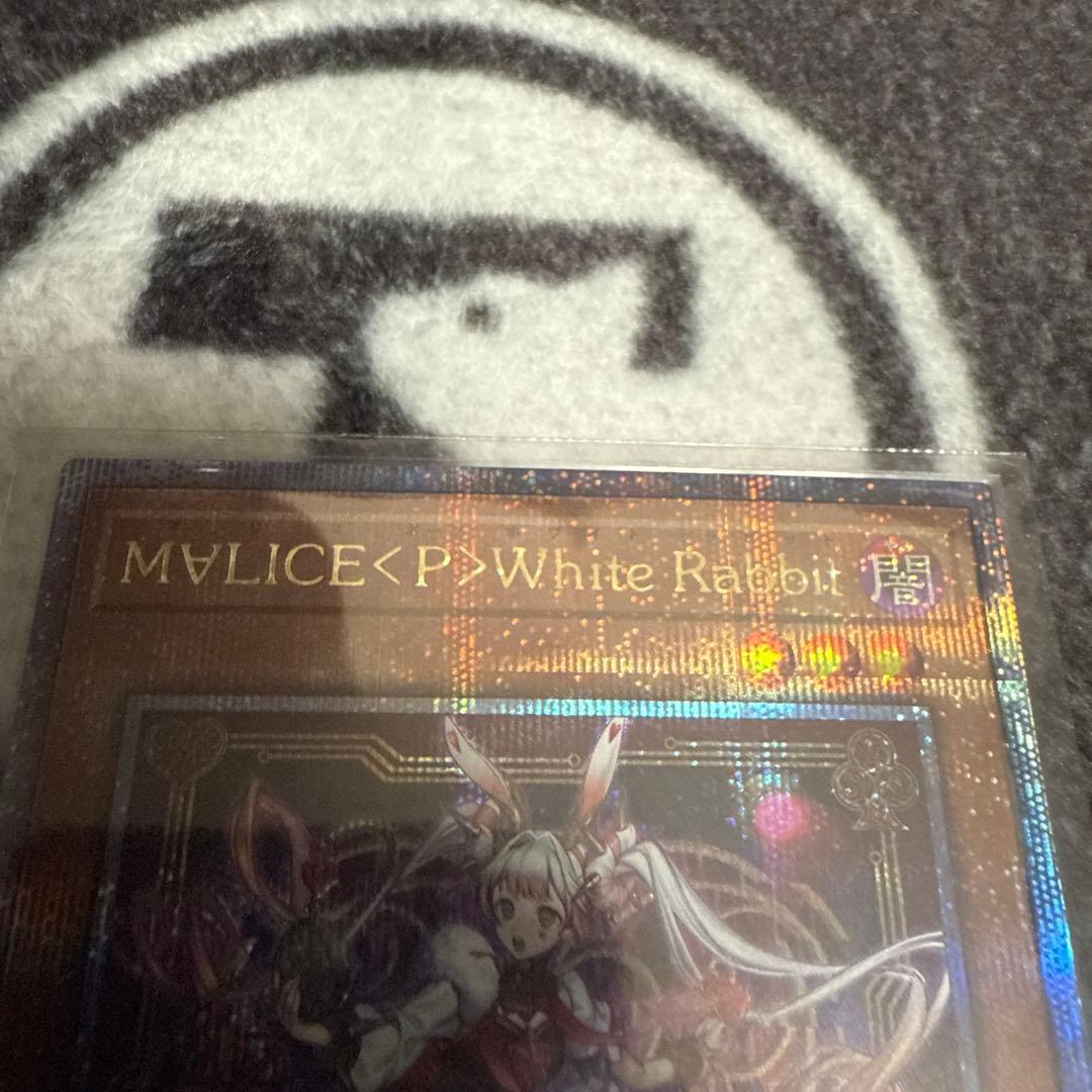 M∀LICE 〈P〉White Rabbit 25th 1枚