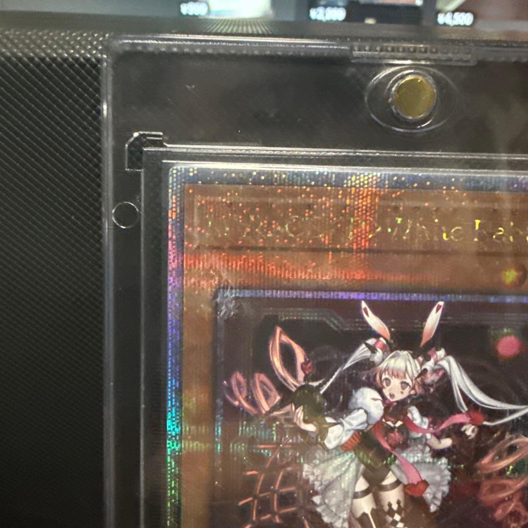 M∀LICE 〈P〉White Rabbit 25th 1枚