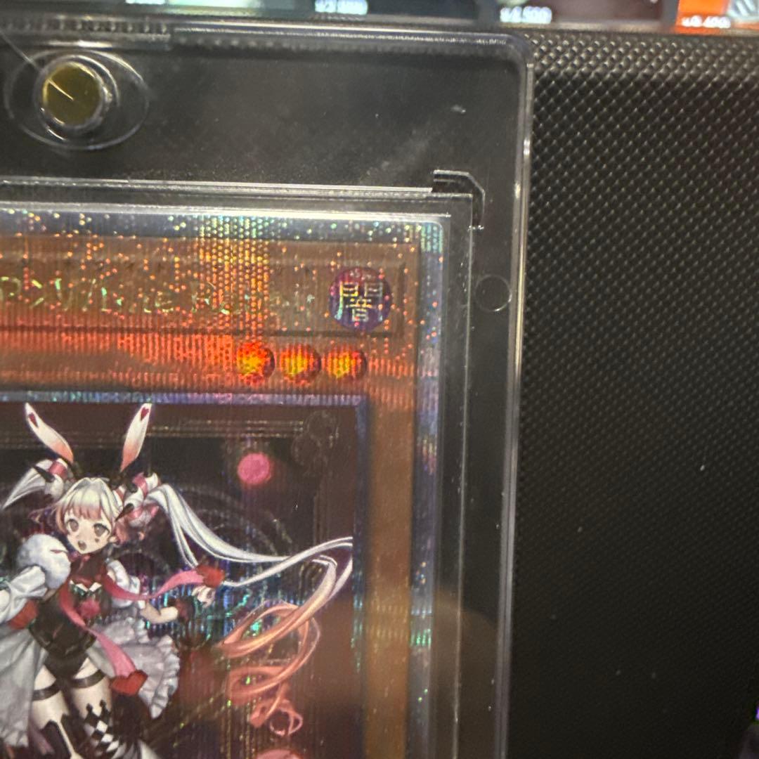 M∀LICE 〈P〉White Rabbit 25th 1枚