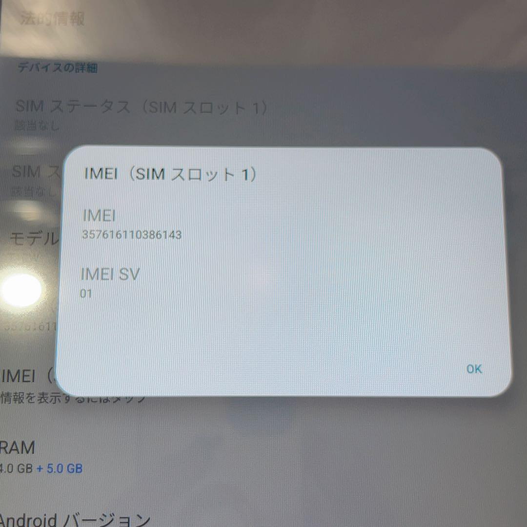 SIMフリー 本体 DOOGEE T10W 128 GB 039G2 ブルー