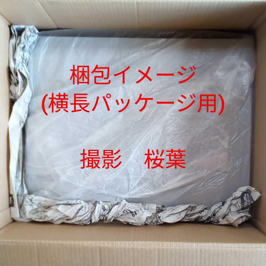 機動戦士ガンダムseed ガンプラ PG パーフェクトストライクガンダム 未開封