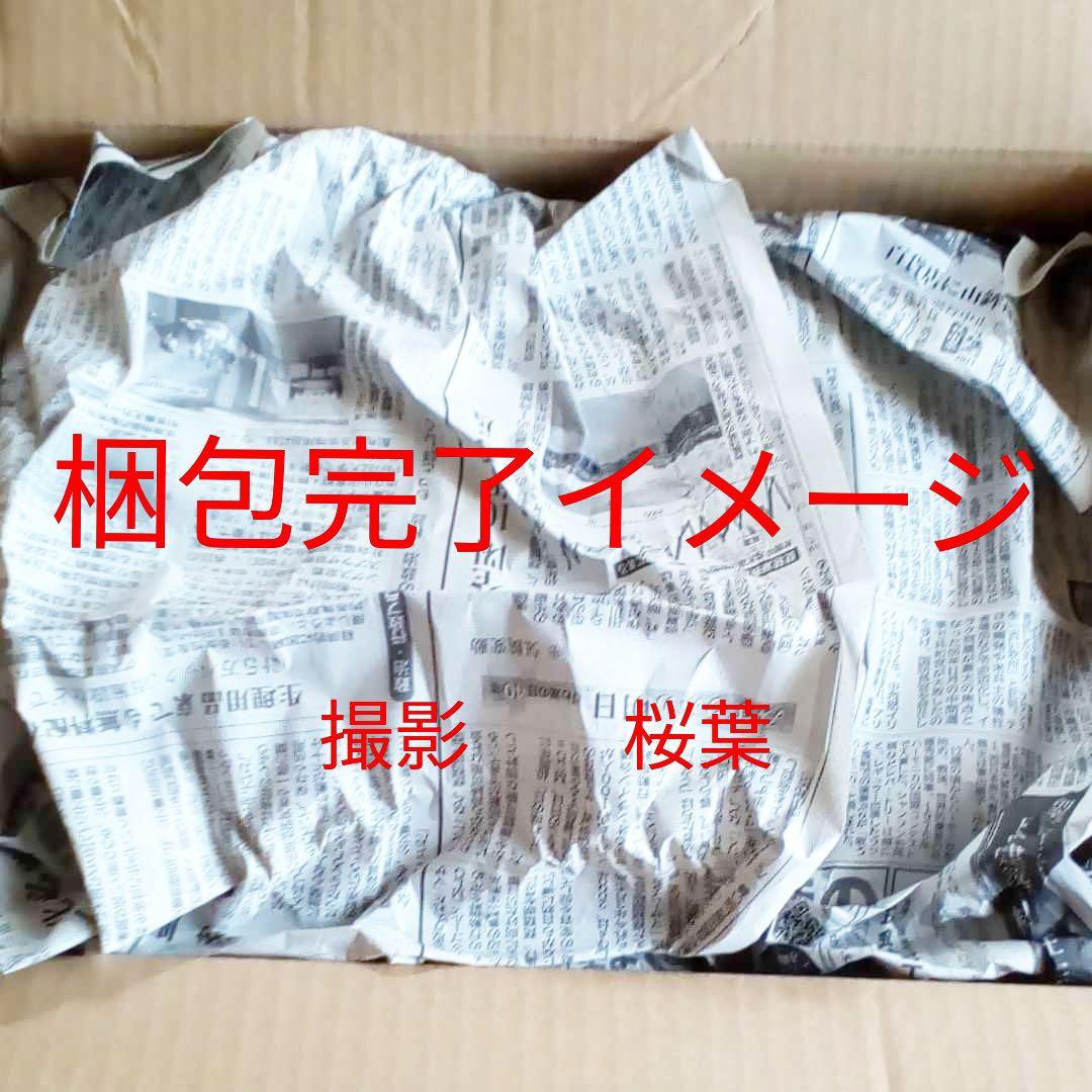 機動戦士ガンダムseed ガンプラ PG パーフェクトストライクガンダム 未開封