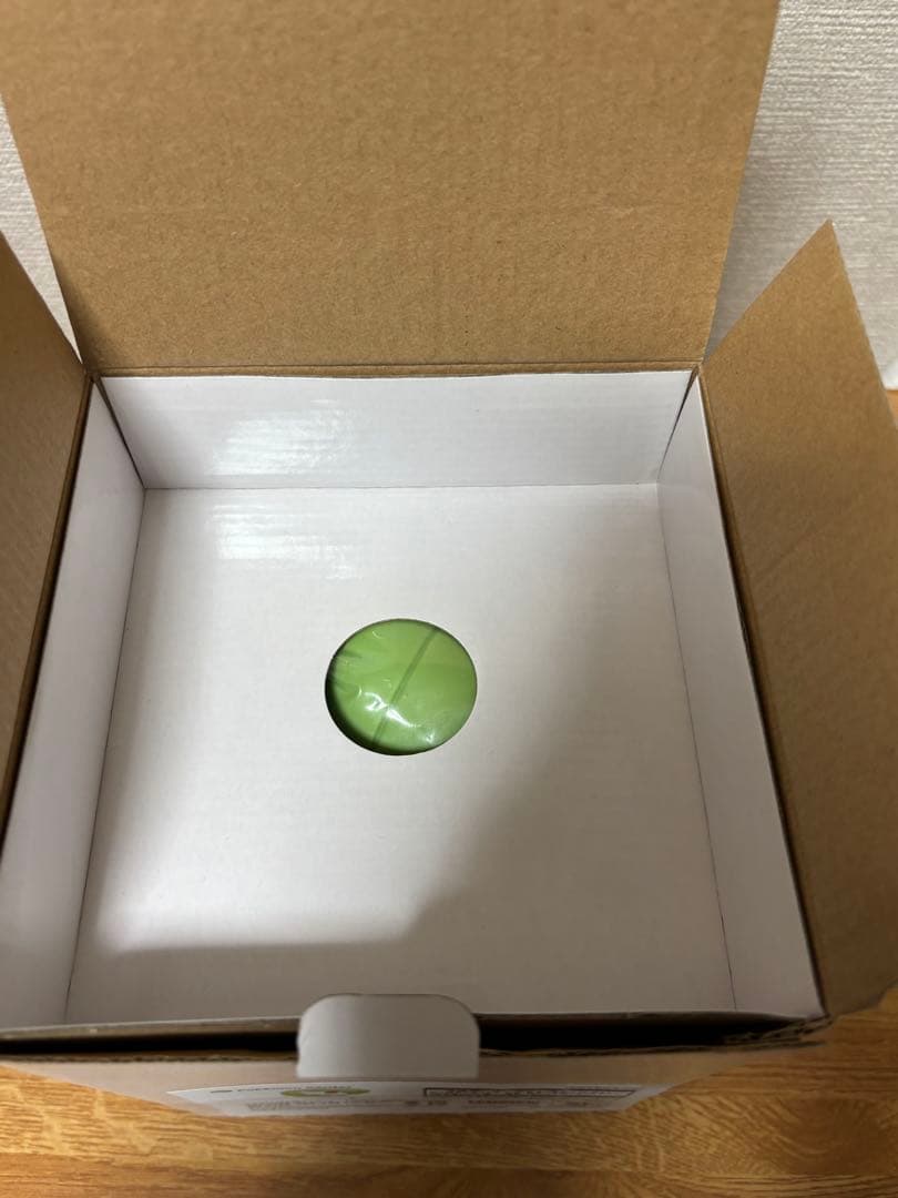 ポケモンセンター　pokemon time サーナイト　フィギュア