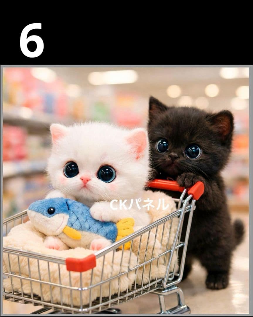 オーダーページ　ハンカチ　145 Shoppingねこ柄　ハンドメイド2/15