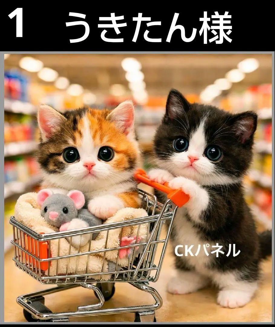 オーダーページ　ハンカチ　145 Shoppingねこ柄　ハンドメイド2/15