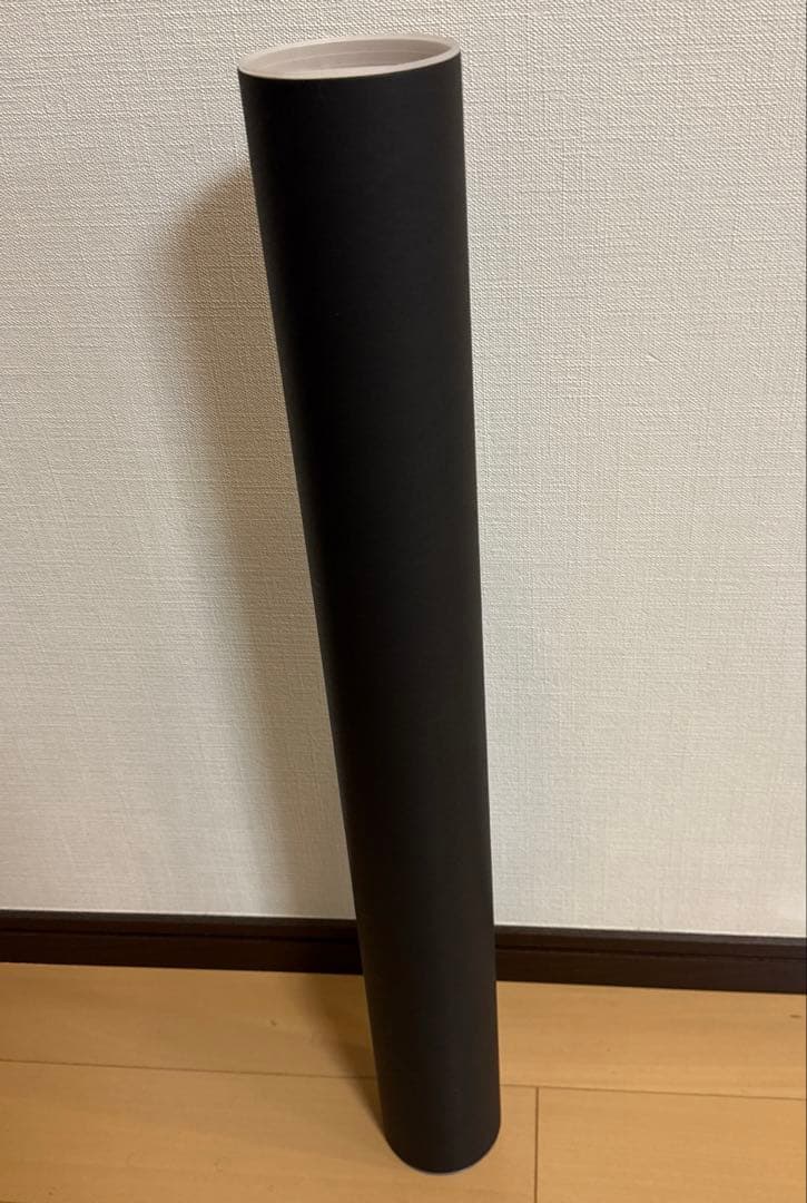 LadyGaga 2026ツアーポスター　CLAW PHOTO POSTER